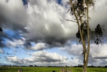 我叫造价工程师证考友天涯论坛