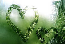 快乐分享：荨麻疹天涯论坛中的病友聚会（标题，10字以内）