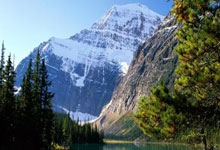 我的2018天涯论坛装修日记